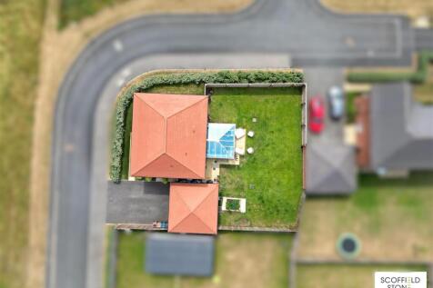 Birdseye