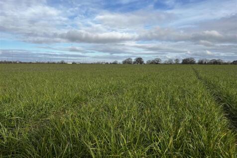 Photo 14-03-2025, 9 16 43 AM.jpg