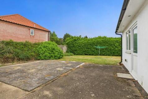 Back Garden