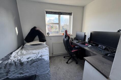 Image00003  Medium  T202503031724.jpeg