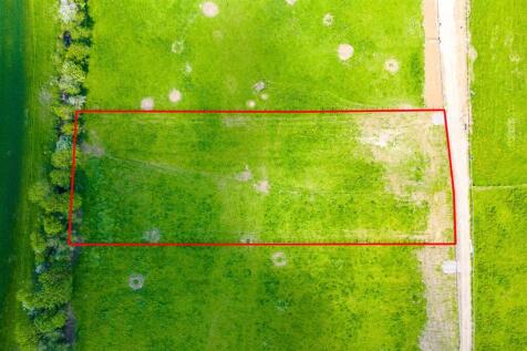 Daisy Field, Frome Mill Farm, Nibley lane, Nibley,