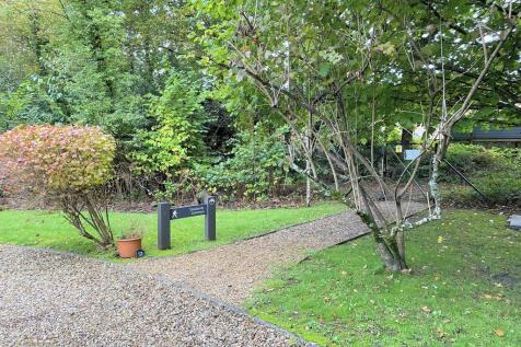 61dew path (1)Lovely position (Copy)