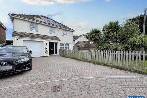 image00022_blurred (6)