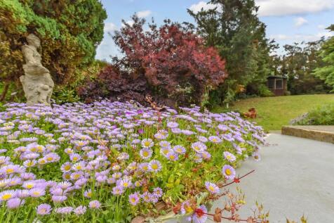 External Lifestyle Photograph