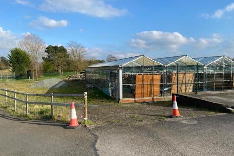 PHOTO20240306154727 20240315 18_48_53.jpg