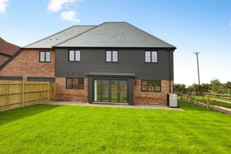 Rear Elevation