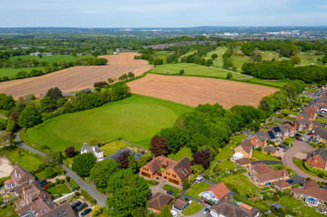 20250429-DJI_0593.jpg