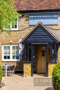 Grandison_54 wm (3).JPG