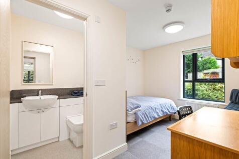 All Ensuite // Lincoln Bishop // 6 Bed // Sept 2027 photo 4