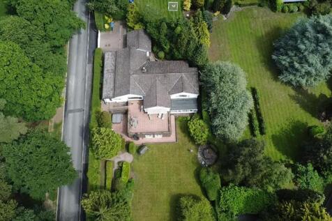 dji_fly_20260618_112655_0_1781778415696_photo_low_