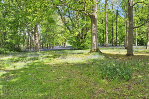 Communal Gardens