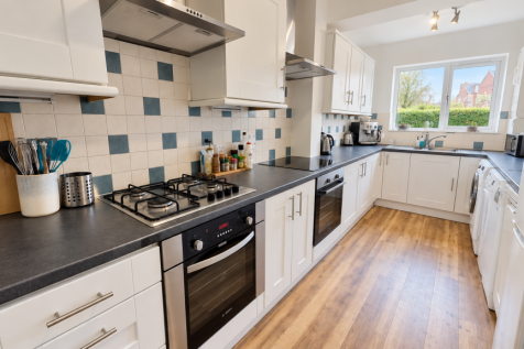 Bright Modern Galley Kitchen