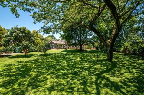 Manicured garden
