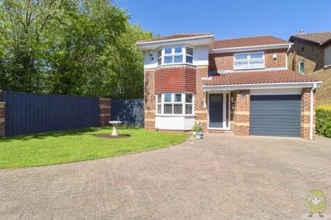 Property Image 19