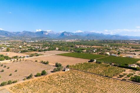 21-santa maria-Finca Anwesen im Herzen Mallorcas-kaufen-aussicht