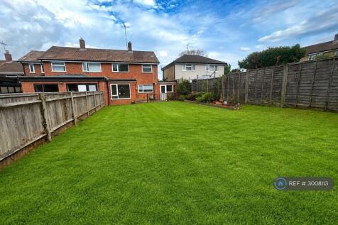 Back Garden