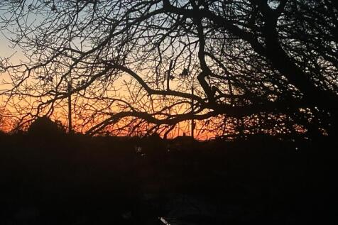 IMG_6330.JPEG