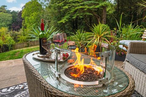 Patio view from  Dining/lounge - with woodland backdrop