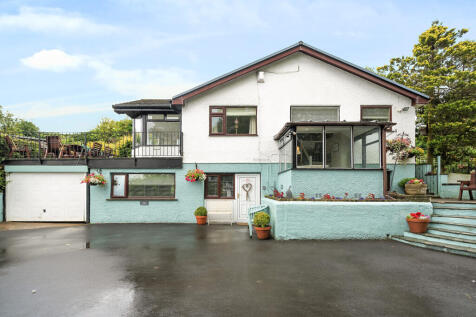 1145233  1  T202602161553.jpg