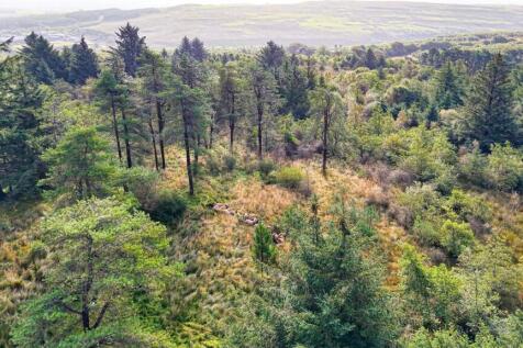 Drone Photograph