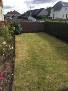 garden.jpg