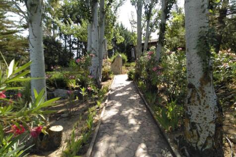 Property Image 66