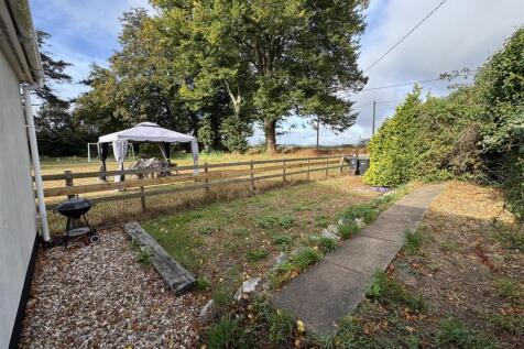 Low maintenance garden