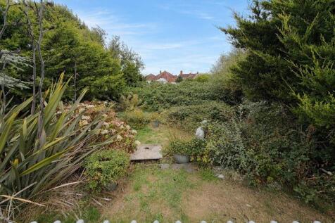 Rear of Property