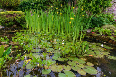 Greystoke House Rothbury-68