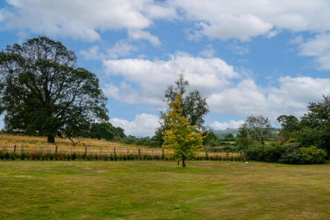 Communal Gardens