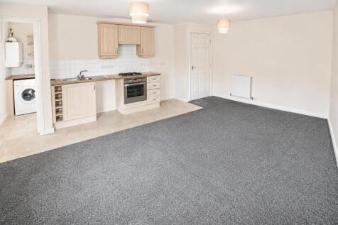 Kitchen / Living Area