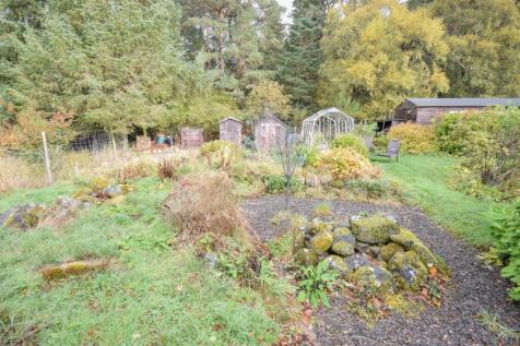 GARDEN (2).jpg