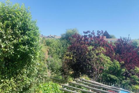 IMG_1235.jpeg