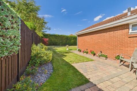 CAM02854G0-PR0438...