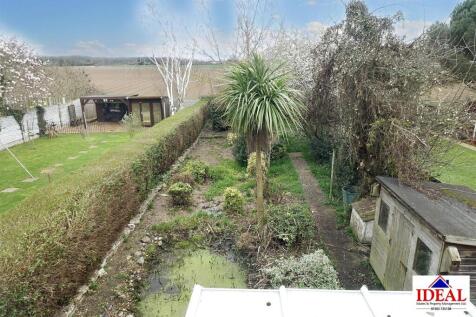back garden.jpg