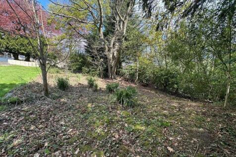Farm Land for sale Image 7