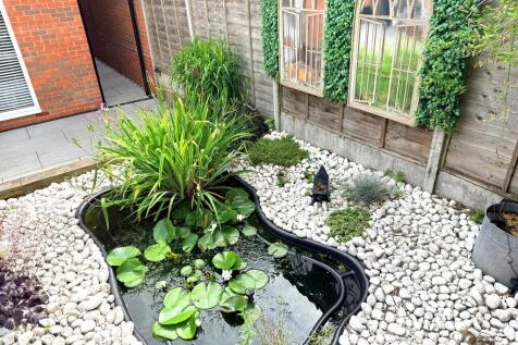 Pond