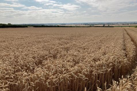 Arable Land To Let