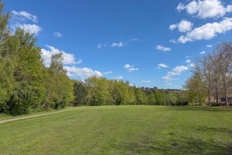 Grassland In Front Of The Property