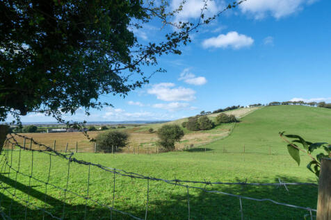 View From The Garden