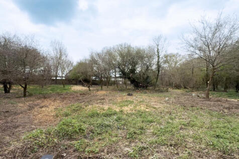 Cleared Land 3