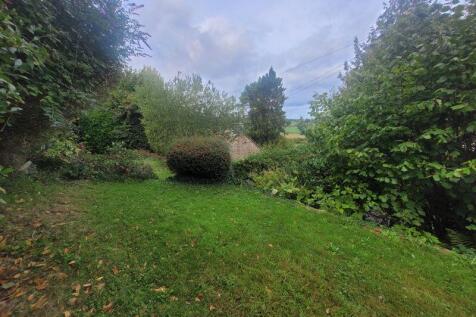 Photo 46