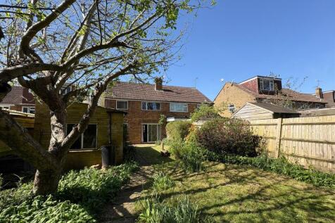 Rear garden-1.jpg