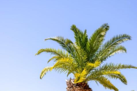 6J5A4711-Mejorado-NR