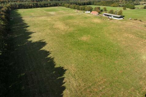 Pine Meadows Walesby 101024 (24).JPG