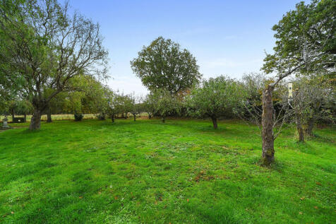 PT-FC(COL)-TheBir...