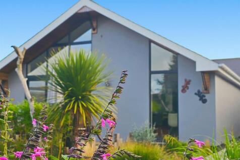 edited front shot.jpg