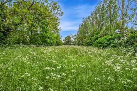 Meadow