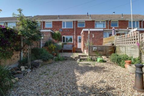 Back Garden