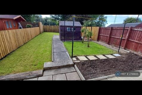 Back Garden